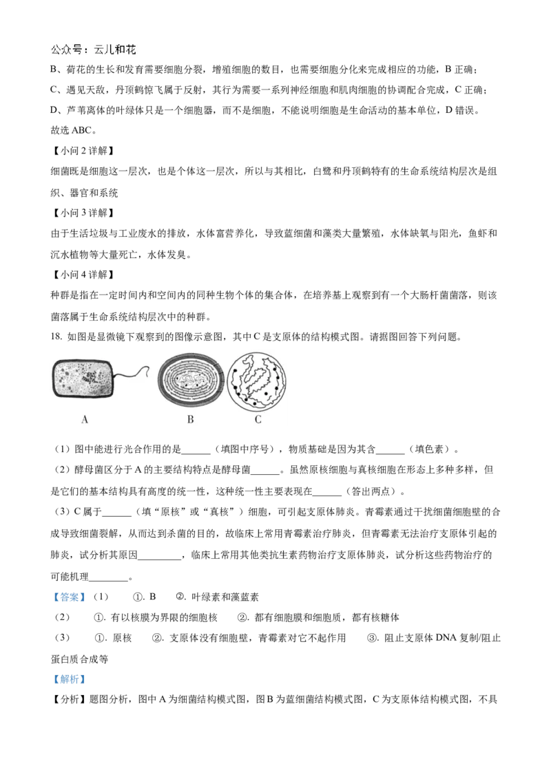 湖南省名校联考联合体2024-2025学年高一上学期第一次联考生物试题Word版含解析_2024-2025高一（7-7月题库）_2024年10月试卷
