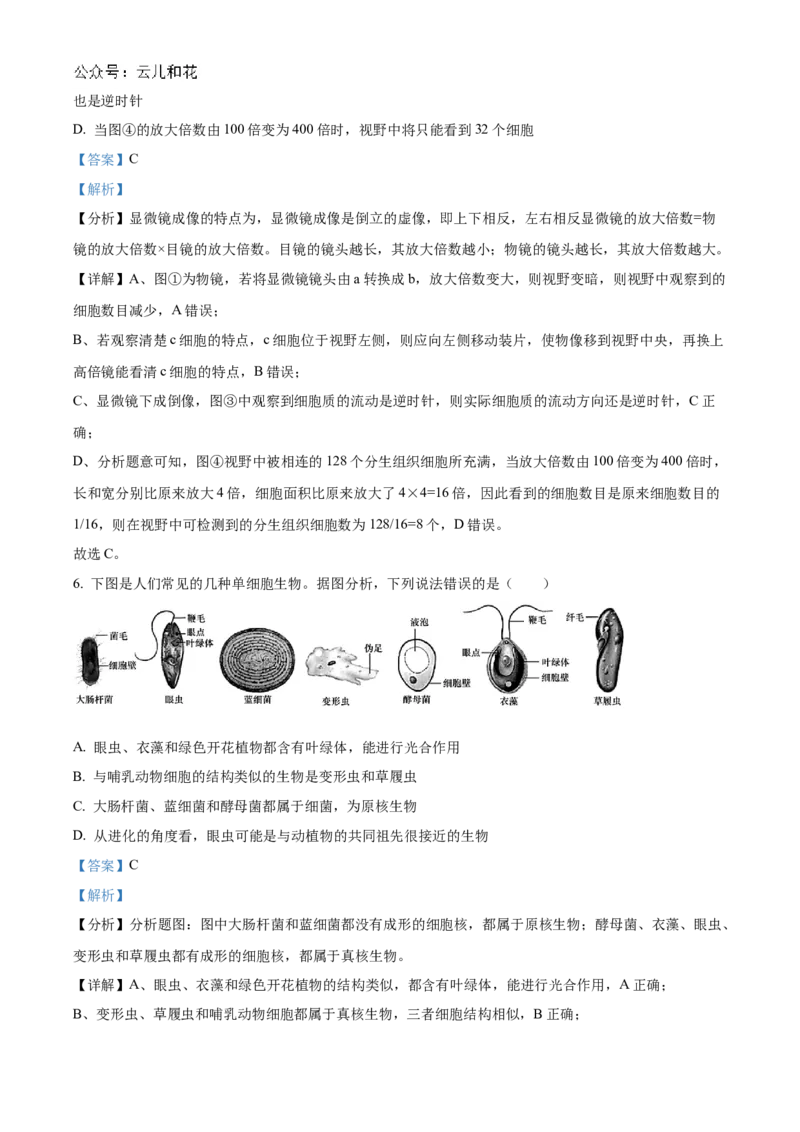 湖南省名校联考联合体2024-2025学年高一上学期第一次联考生物试题Word版含解析_2024-2025高一（7-7月题库）_2024年10月试卷