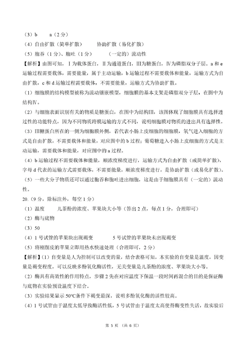 甘肃省平凉市静宁县六校联考2024-2025学年高一上学期1月期末考试生物试卷（图片版，含答案）_2024-2025高一（7-7月题库）_2025年01月试卷