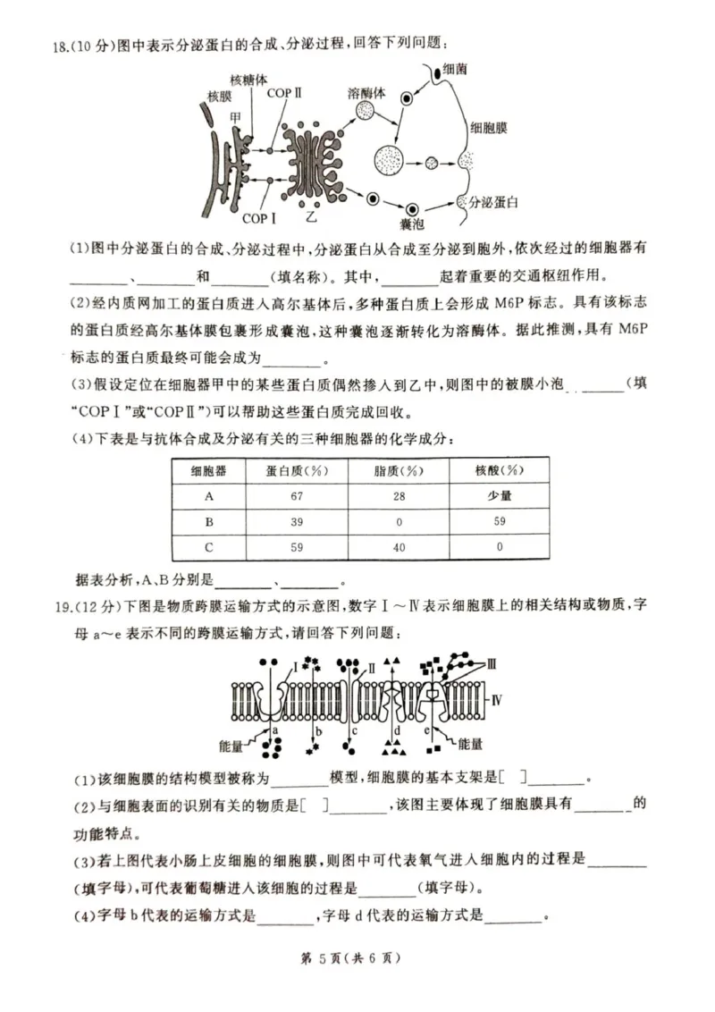 甘肃省平凉市静宁县六校联考2024-2025学年高一上学期1月期末考试生物试卷（图片版，含答案）_2024-2025高一（7-7月题库）_2025年01月试卷