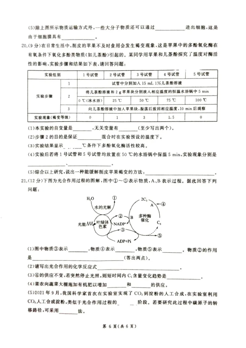甘肃省平凉市静宁县六校联考2024-2025学年高一上学期1月期末考试生物试卷（图片版，含答案）_2024-2025高一（7-7月题库）_2025年01月试卷