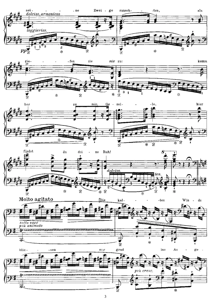 DerLindenbaum(Schubert)_一万首著名钢琴曲谱哈农贝多芬合集视频教学电子版高清无水印可打印_1古典钢琴知名音乐家谱_李斯特钢琴谱全集_改编舒伯特