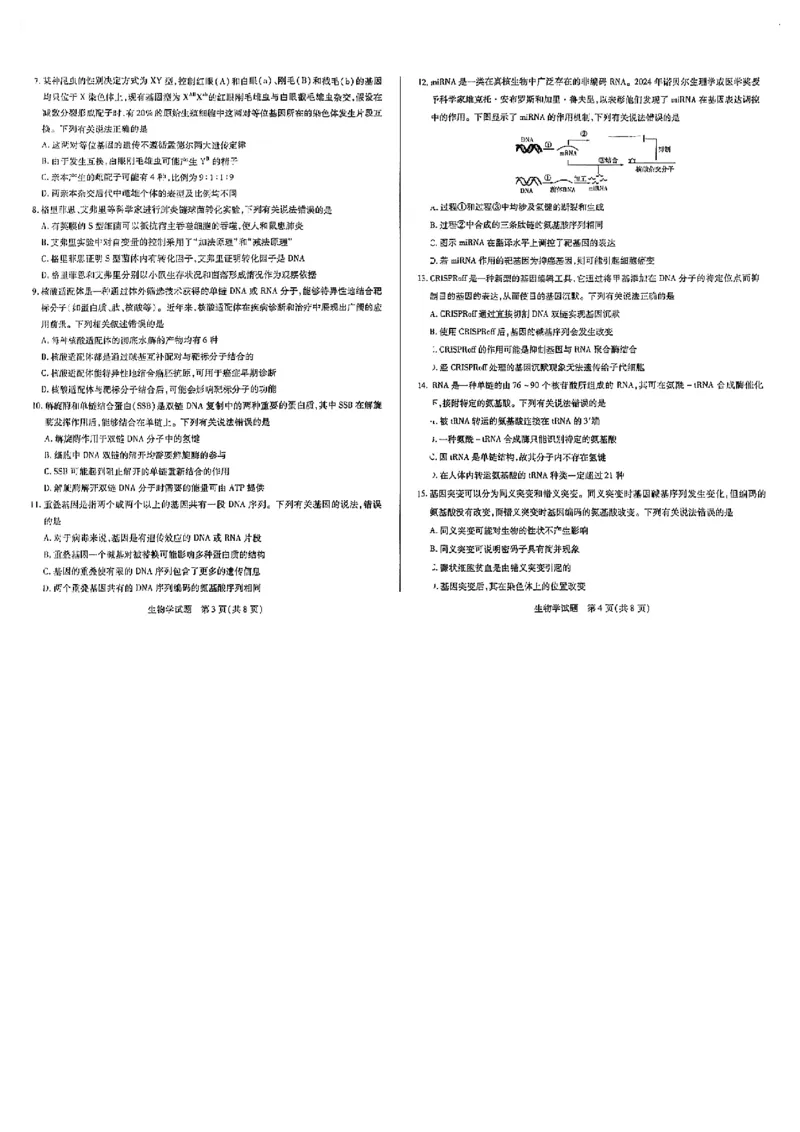 河南天一大联考2024-2025高一下学期5月阶段性测试（四）-生物试卷+答案_2024-2025高一（7-7月题库）_2025年6月7.10新增_0601河南天一大联考2024-2025高一下阶段性测试（四）