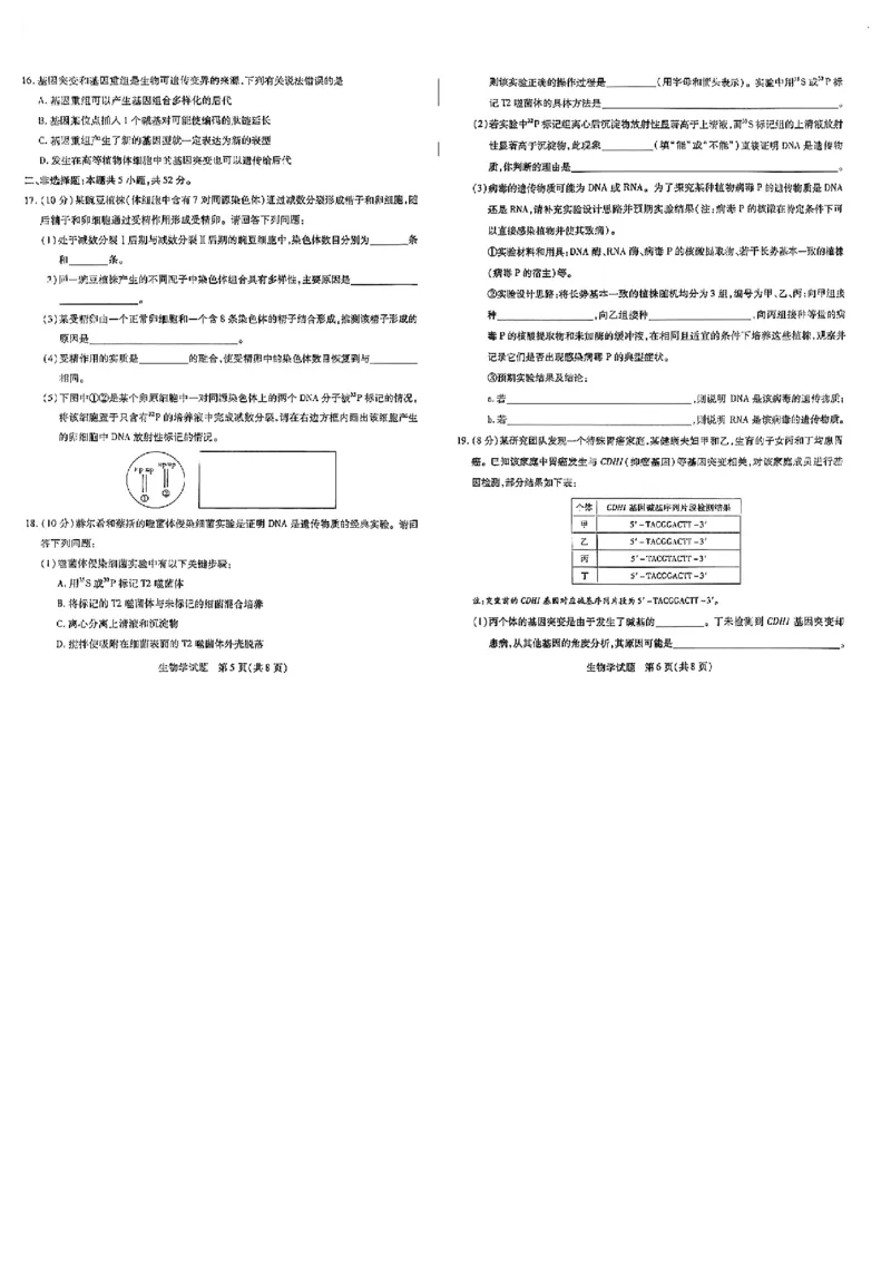 河南天一大联考2024-2025高一下学期5月阶段性测试（四）-生物试卷+答案_2024-2025高一（7-7月题库）_2025年6月7.10新增_0601河南天一大联考2024-2025高一下阶段性测试（四）