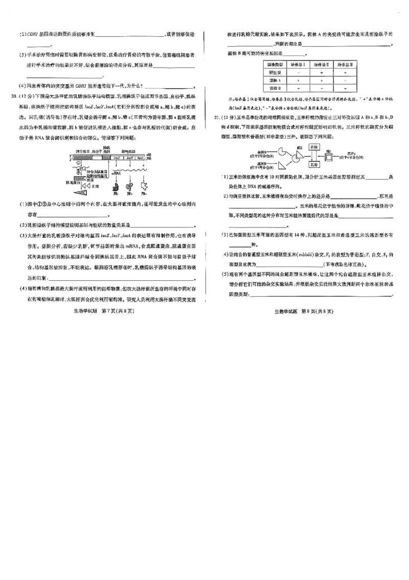 河南天一大联考2024-2025高一下学期5月阶段性测试（四）-生物试卷+答案_2024-2025高一（7-7月题库）_2025年6月7.10新增_0601河南天一大联考2024-2025高一下阶段性测试（四）