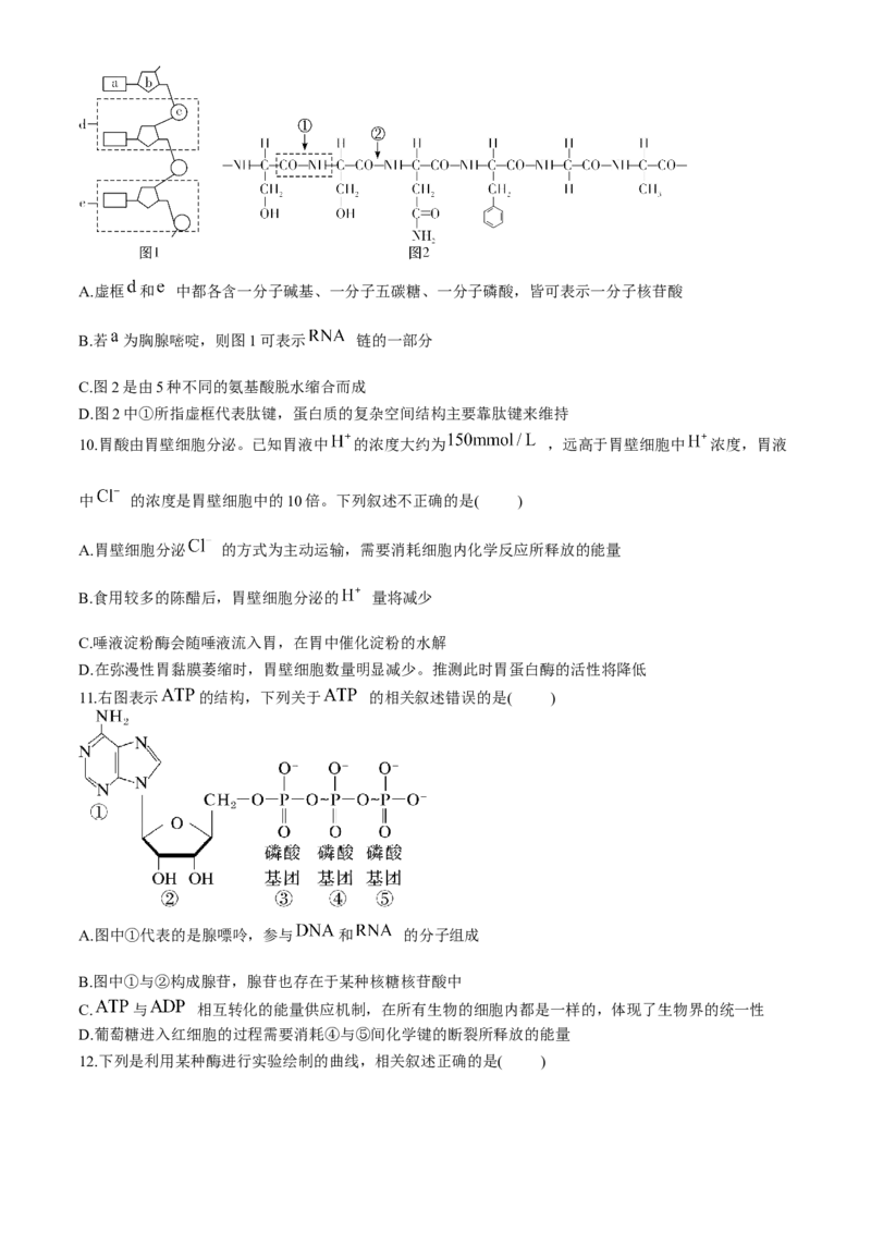 湖南省长沙市长郡中学2024-2025学年高一上学期12月月考生物试题Word版含解析_2024-2025高一（7-7月题库）_2024年12月试卷_1214湖南省长沙市长郡中学2024-2025学年高一上学期12月月考