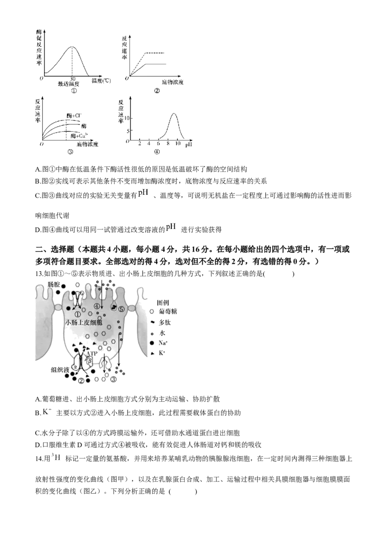 湖南省长沙市长郡中学2024-2025学年高一上学期12月月考生物试题Word版含解析_2024-2025高一（7-7月题库）_2024年12月试卷_1214湖南省长沙市长郡中学2024-2025学年高一上学期12月月考