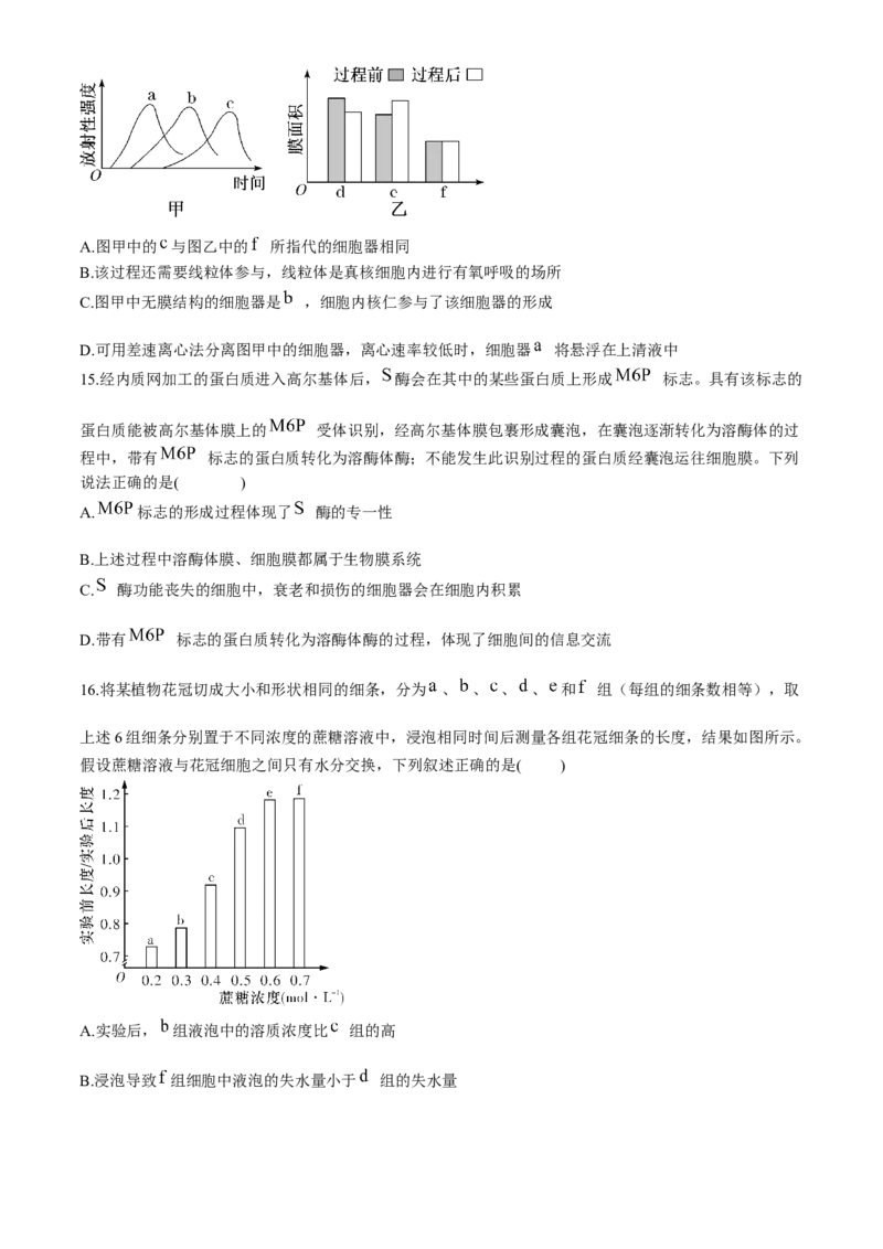 湖南省长沙市长郡中学2024-2025学年高一上学期12月月考生物试题Word版含解析_2024-2025高一（7-7月题库）_2024年12月试卷_1214湖南省长沙市长郡中学2024-2025学年高一上学期12月月考