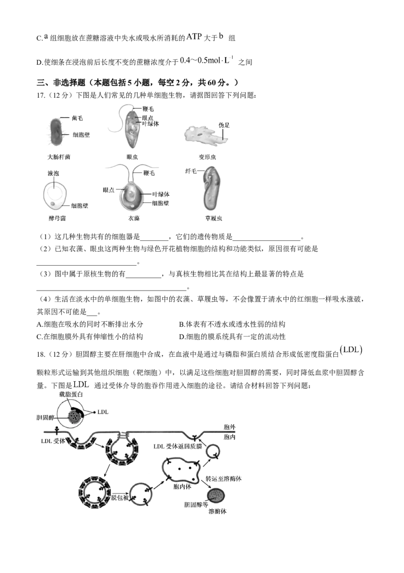 湖南省长沙市长郡中学2024-2025学年高一上学期12月月考生物试题Word版含解析_2024-2025高一（7-7月题库）_2024年12月试卷_1214湖南省长沙市长郡中学2024-2025学年高一上学期12月月考