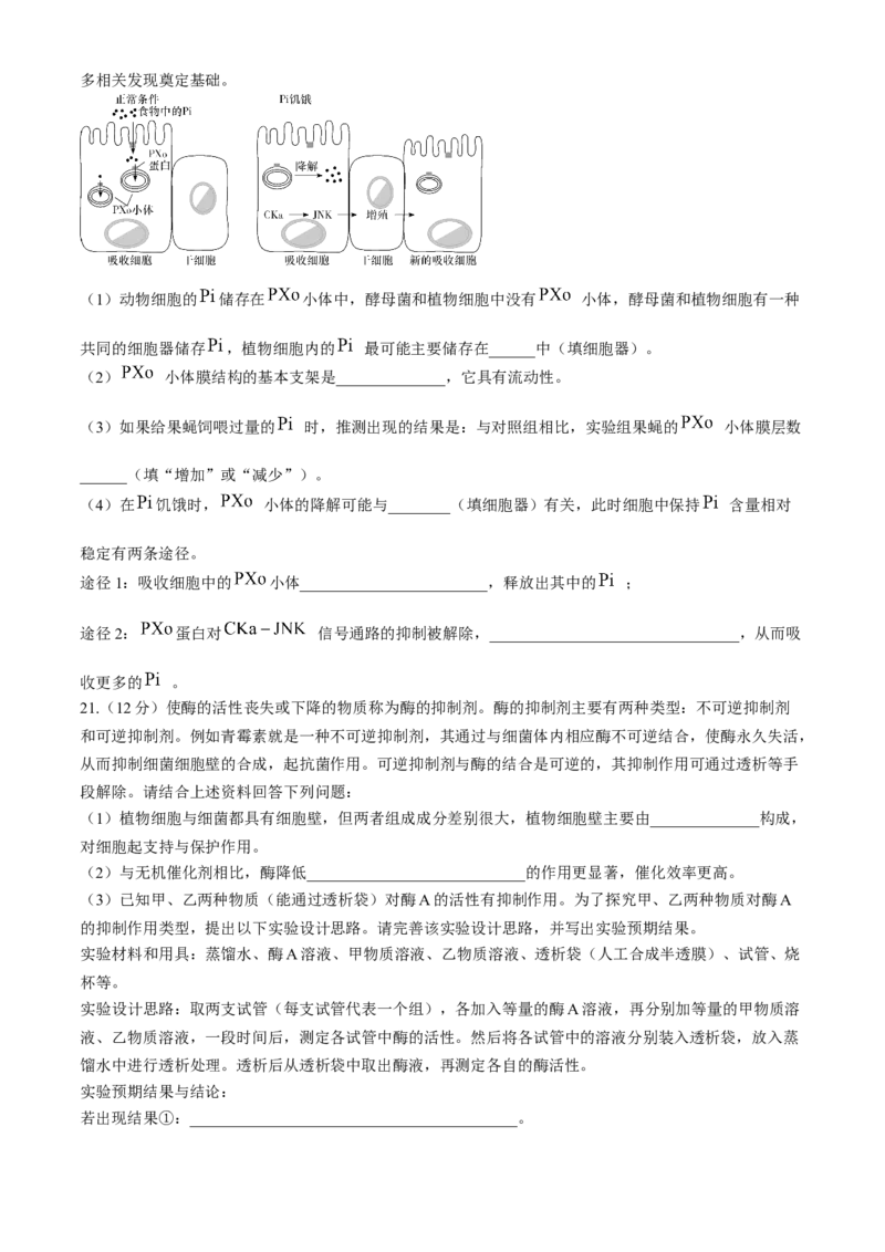 湖南省长沙市长郡中学2024-2025学年高一上学期12月月考生物试题Word版含解析_2024-2025高一（7-7月题库）_2024年12月试卷_1214湖南省长沙市长郡中学2024-2025学年高一上学期12月月考