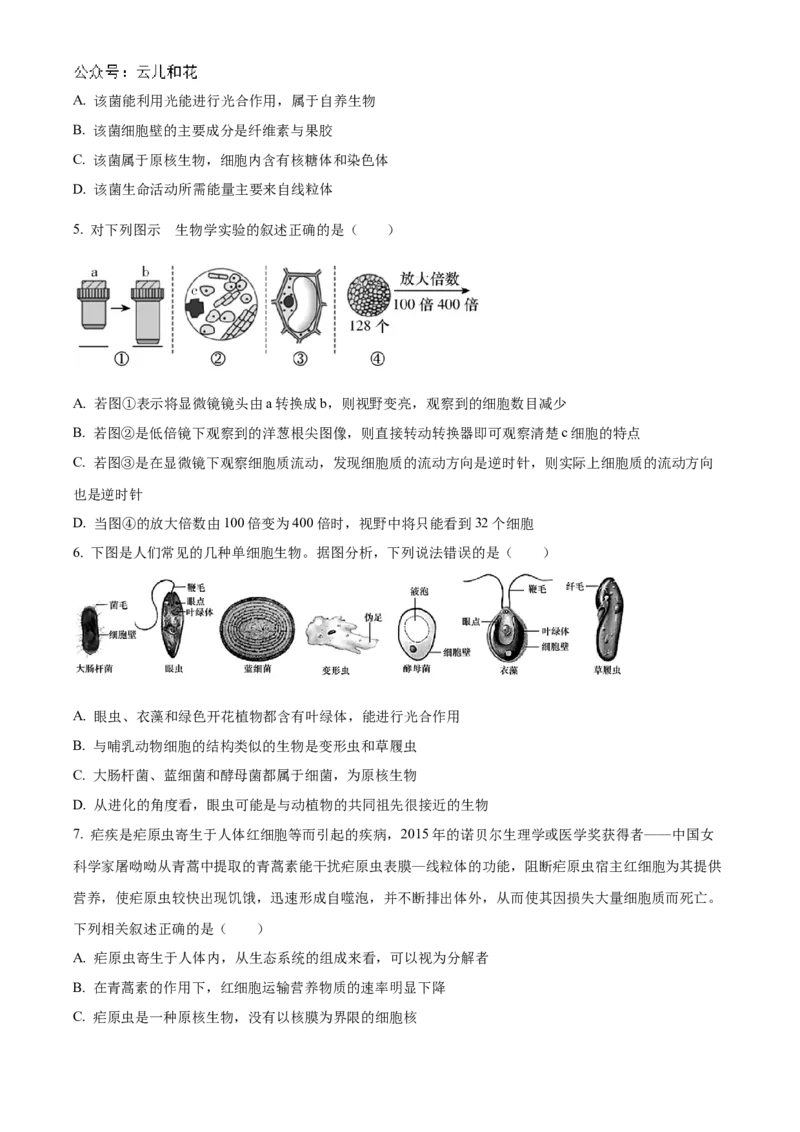 湖南省名校联考联合体2024-2025学年高一上学期第一次联考生物试题Word版无答案_2024-2025高一（7-7月题库）_2024年10月试卷