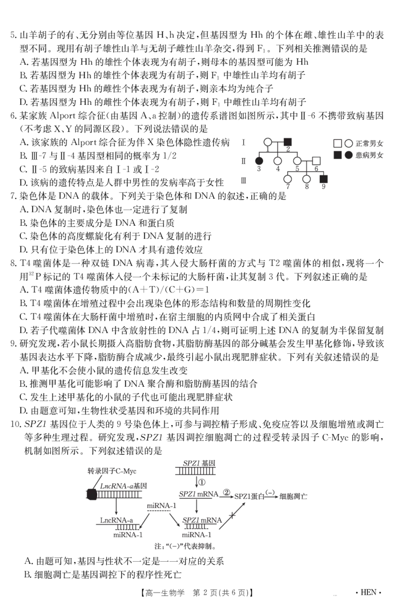 金太阳25-003A河南省2024-2025学年高一下学期6月百万大联考生物学_2024-2025高一（7-7月题库）_2025年7月_250706金太阳&middot;河南省2024-2025学年高一下学期6月百万大联考（金太阳25-003A）