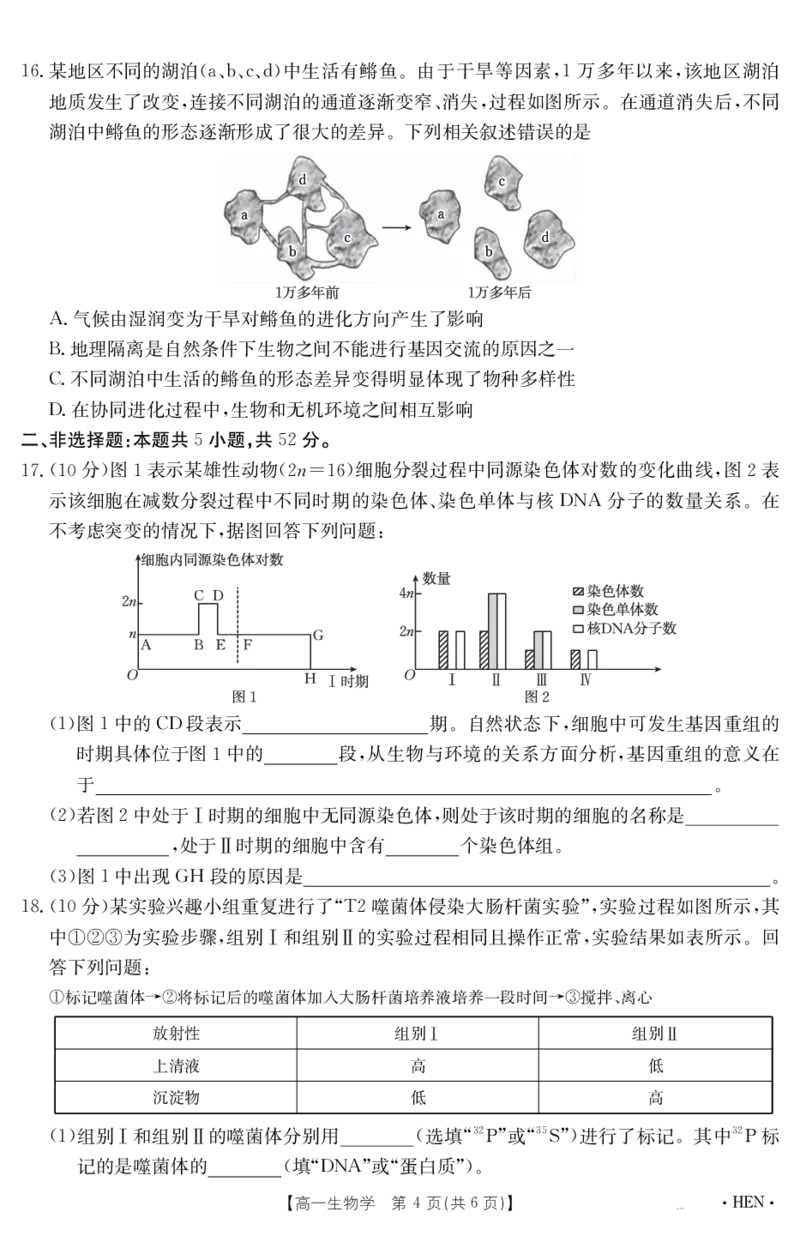 金太阳25-003A河南省2024-2025学年高一下学期6月百万大联考生物学_2024-2025高一（7-7月题库）_2025年7月_250706金太阳&middot;河南省2024-2025学年高一下学期6月百万大联考（金太阳25-003A）