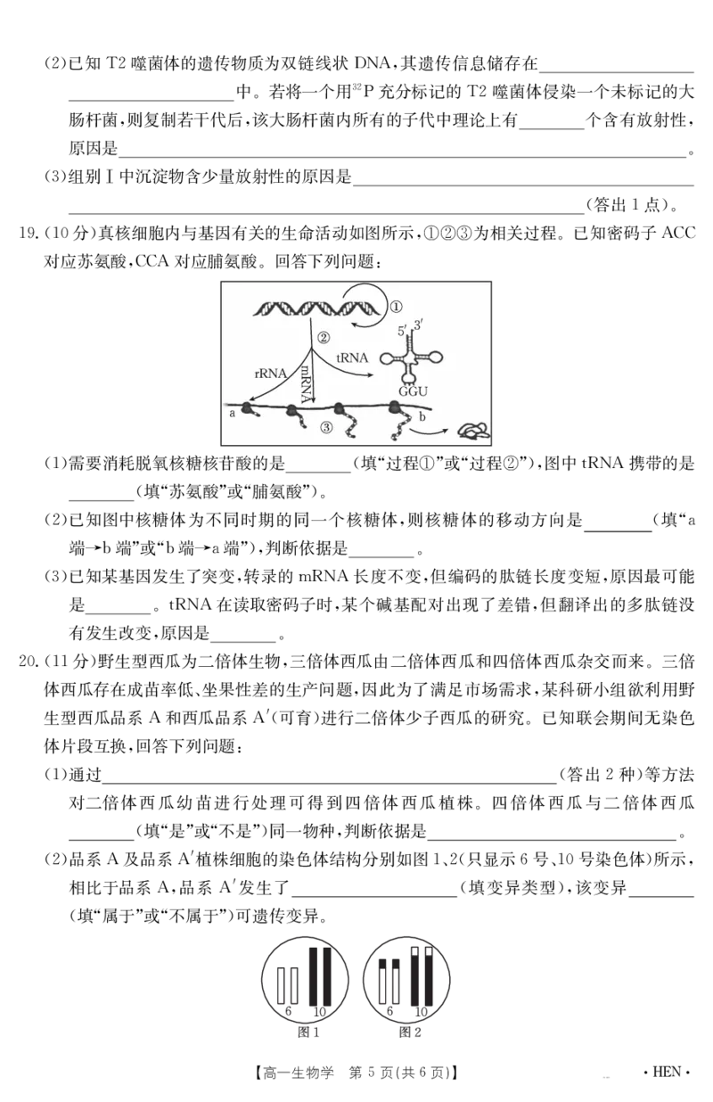 金太阳25-003A河南省2024-2025学年高一下学期6月百万大联考生物学_2024-2025高一（7-7月题库）_2025年7月_250706金太阳&middot;河南省2024-2025学年高一下学期6月百万大联考（金太阳25-003A）
