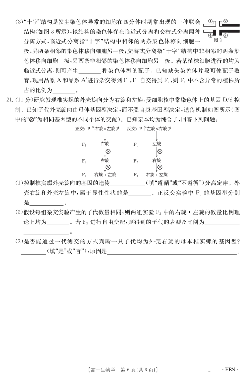 金太阳25-003A河南省2024-2025学年高一下学期6月百万大联考生物学_2024-2025高一（7-7月题库）_2025年7月_250706金太阳&middot;河南省2024-2025学年高一下学期6月百万大联考（金太阳25-003A）