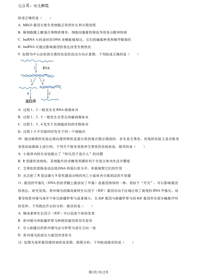河南省信阳市2023-2024学年高一下学期期末考试生物试题_2024-2025高一（7-7月题库）_2024年8月试卷_0815河南省信阳市2023-2024学年高一下学期期末教学质量检测