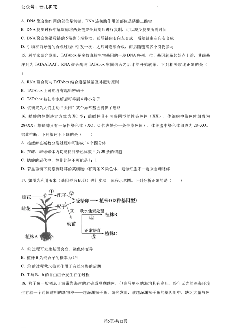 河南省信阳市2023-2024学年高一下学期期末考试生物试题_2024-2025高一（7-7月题库）_2024年8月试卷_0815河南省信阳市2023-2024学年高一下学期期末教学质量检测