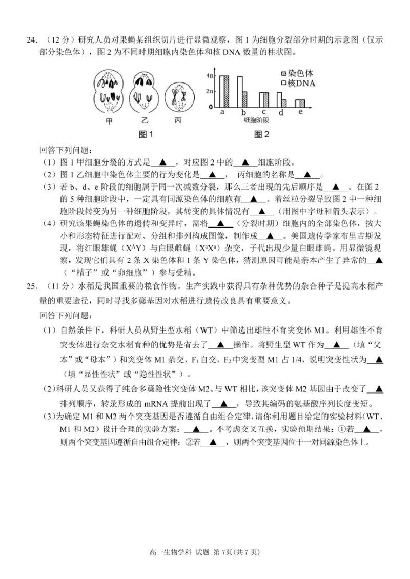 浙江省丽水市发展共同体2024-2025学年高一下学期4月期中联考生物试卷（扫描版有答案）_2024-2025高一（7-7月题库）_2025年04月试卷