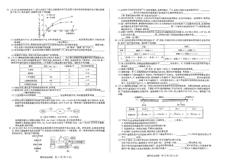 扫描件_理科综合)_2024年2月_01每日更新_27号_2024届河南省天一大联考高三阶段性测试（六）_河南省天一大联考2024届高三阶段性测试（六）理综