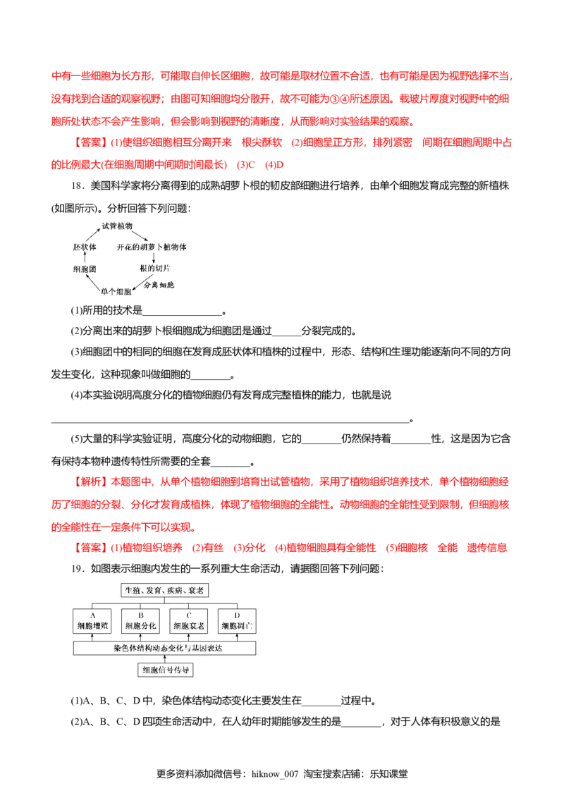 第6章细胞的生命历程A卷（解析版）_E015高中全科试卷_生物试题_必修1_1.单元测试_3.单元测试（第三套）_第6章细胞的生命历程A卷-高一生物学同步单元AB卷（2019人教版必修1）