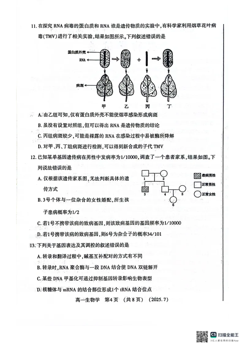 生物试卷-洛阳市2024-2025高一下期末_2024-2025高一（7-7月题库）_2025年7月_250712河南洛阳市2024-2025高一下期末