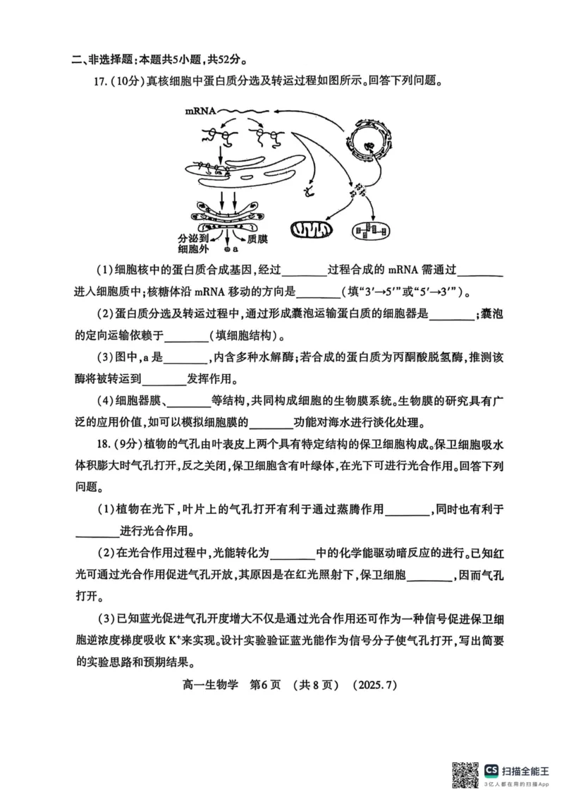 生物试卷-洛阳市2024-2025高一下期末_2024-2025高一（7-7月题库）_2025年7月_250712河南洛阳市2024-2025高一下期末