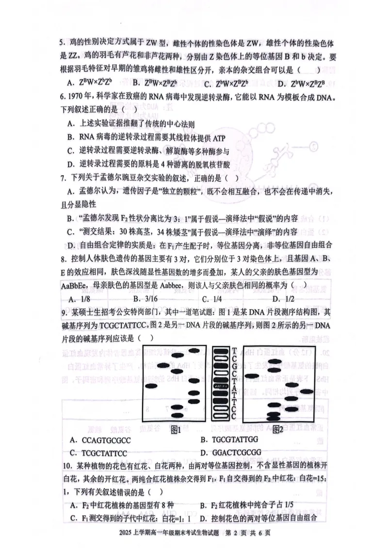 湖南省邵阳市邵东市联考2024-2025学年高一下学期7月期末生物_2024-2025高一（7-7月题库）_2025年7月_250705湖南省邵阳市邵东市联考2024-2025学年高一下学期7月期末考试