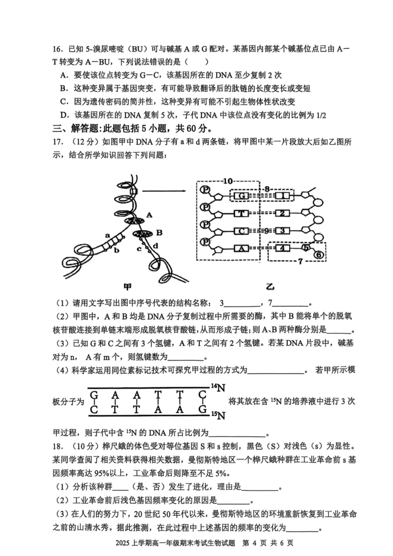 湖南省邵阳市邵东市联考2024-2025学年高一下学期7月期末生物_2024-2025高一（7-7月题库）_2025年7月_250705湖南省邵阳市邵东市联考2024-2025学年高一下学期7月期末考试