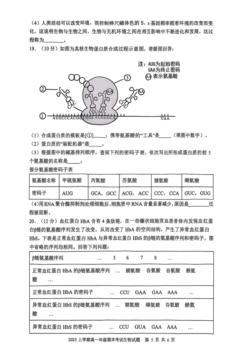 湖南省邵阳市邵东市联考2024-2025学年高一下学期7月期末生物_2024-2025高一（7-7月题库）_2025年7月_250705湖南省邵阳市邵东市联考2024-2025学年高一下学期7月期末考试