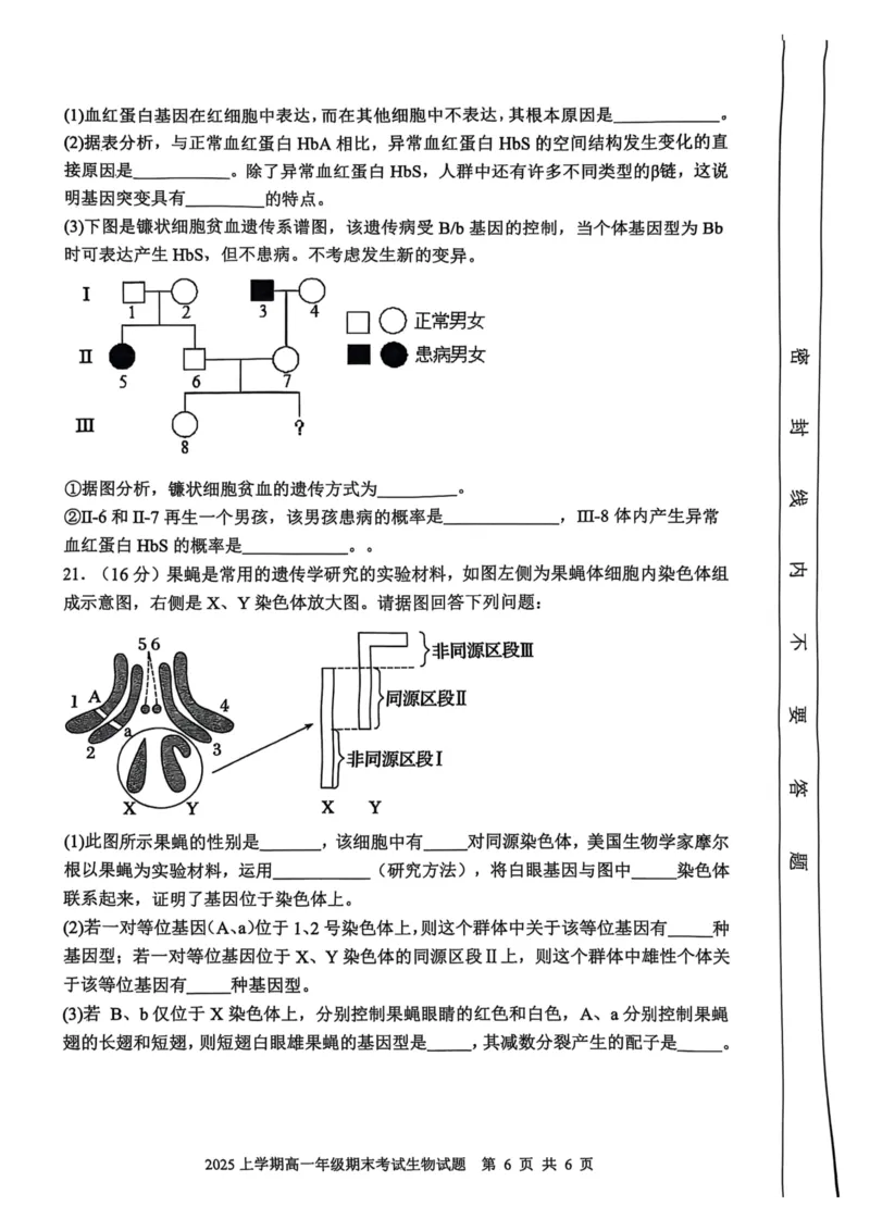 湖南省邵阳市邵东市联考2024-2025学年高一下学期7月期末生物_2024-2025高一（7-7月题库）_2025年7月_250705湖南省邵阳市邵东市联考2024-2025学年高一下学期7月期末考试