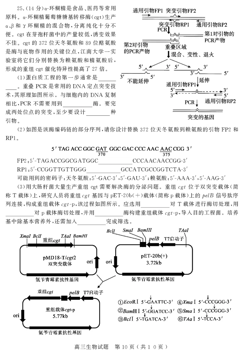 山东省聊城市2024届高三上学期期末教学质量检测生物(1)_2024年2月_022月合集_2024届山东省聊城市高三上学期期末教学质量检测