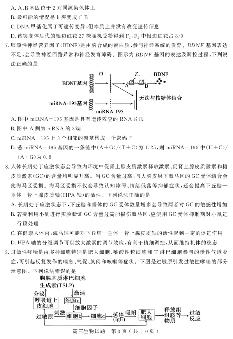 山东省聊城市2024届高三上学期期末教学质量检测生物(1)_2024年2月_022月合集_2024届山东省聊城市高三上学期期末教学质量检测