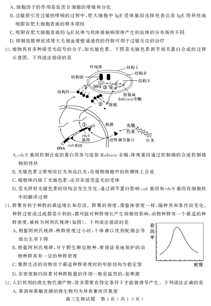 山东省聊城市2024届高三上学期期末教学质量检测生物(1)_2024年2月_022月合集_2024届山东省聊城市高三上学期期末教学质量检测