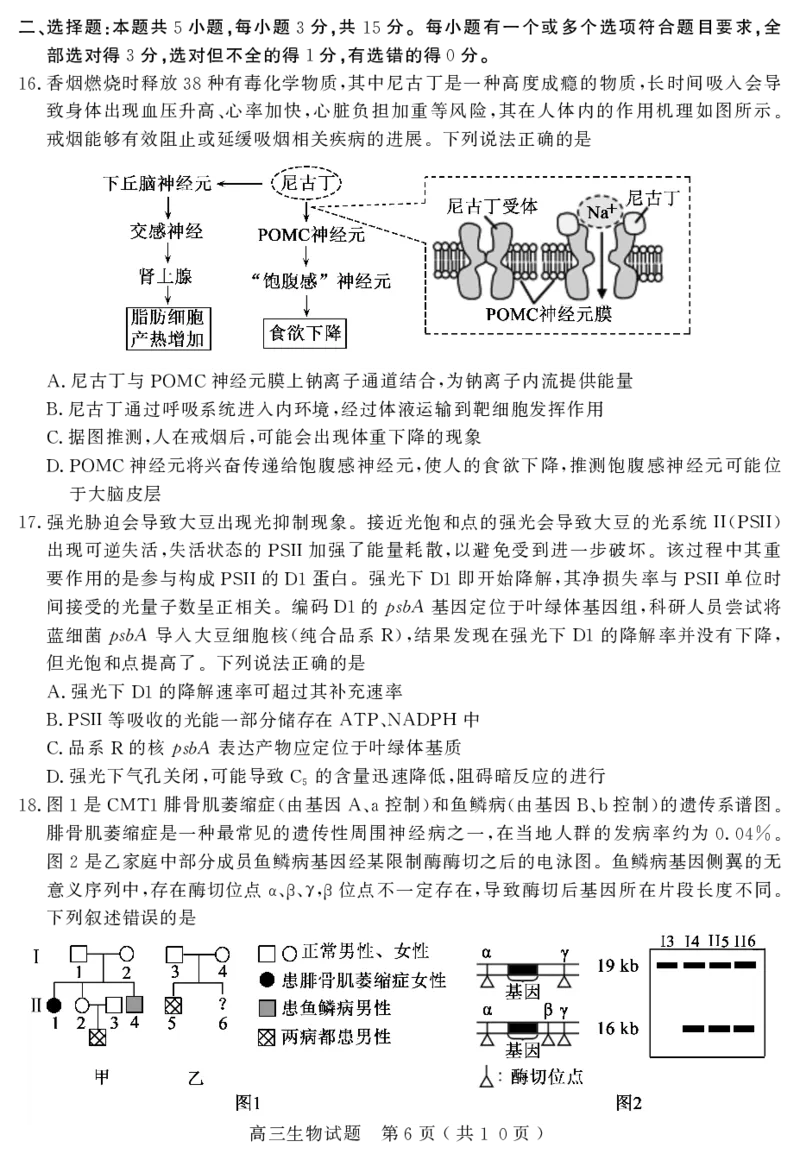 山东省聊城市2024届高三上学期期末教学质量检测生物(1)_2024年2月_022月合集_2024届山东省聊城市高三上学期期末教学质量检测
