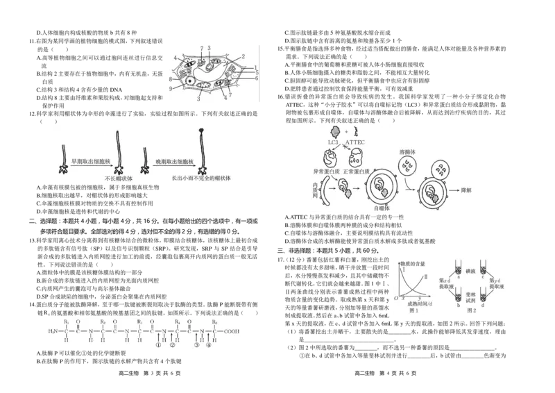 生物试题_2024-2025高一（7-7月题库）_2024年11月试卷_1118金太阳湖南省多校联考2024-2025学年高一上学期期中考试