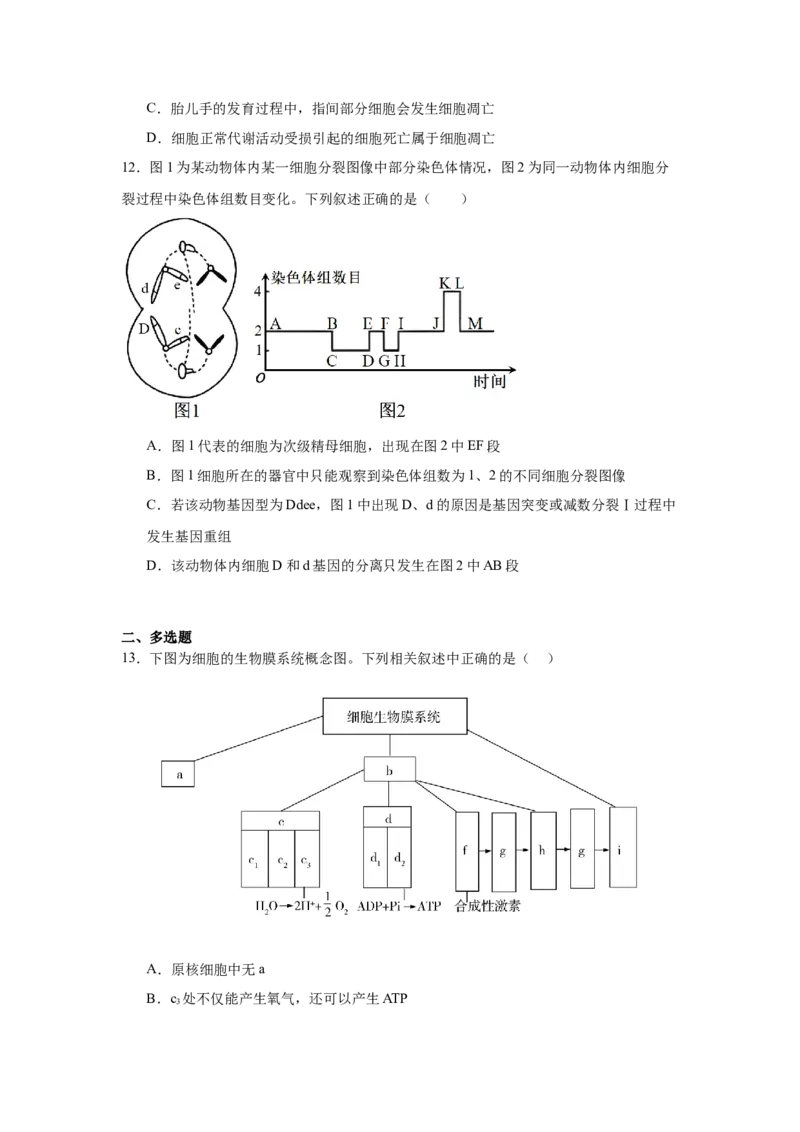 湖南省常德市汉寿县第一中学2024-2025学年高一下学期2月月考生物学试题（含答案）_2024-2025高一（7-7月题库）_2025年03月试卷