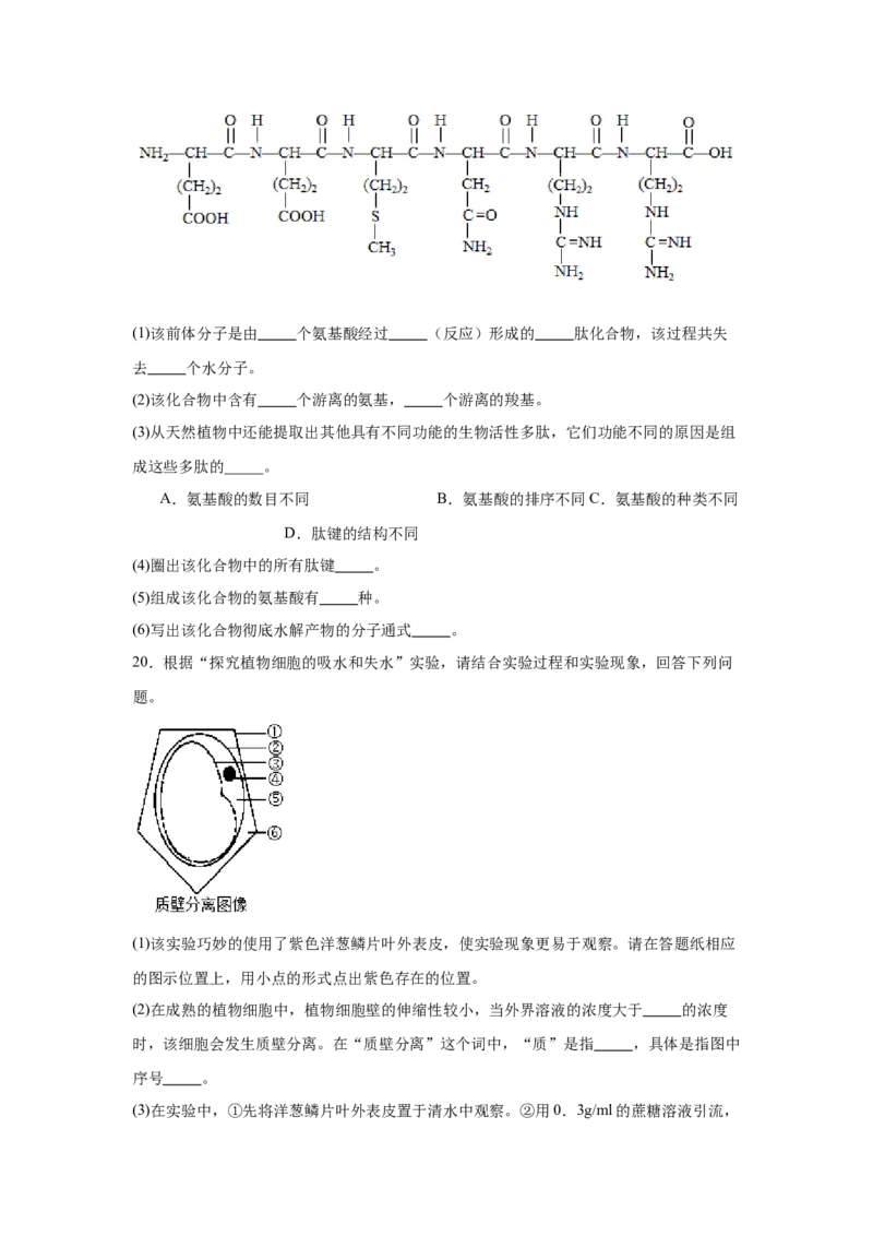 湖南省常德市汉寿县第一中学2024-2025学年高一下学期2月月考生物学试题（含答案）_2024-2025高一（7-7月题库）_2025年03月试卷