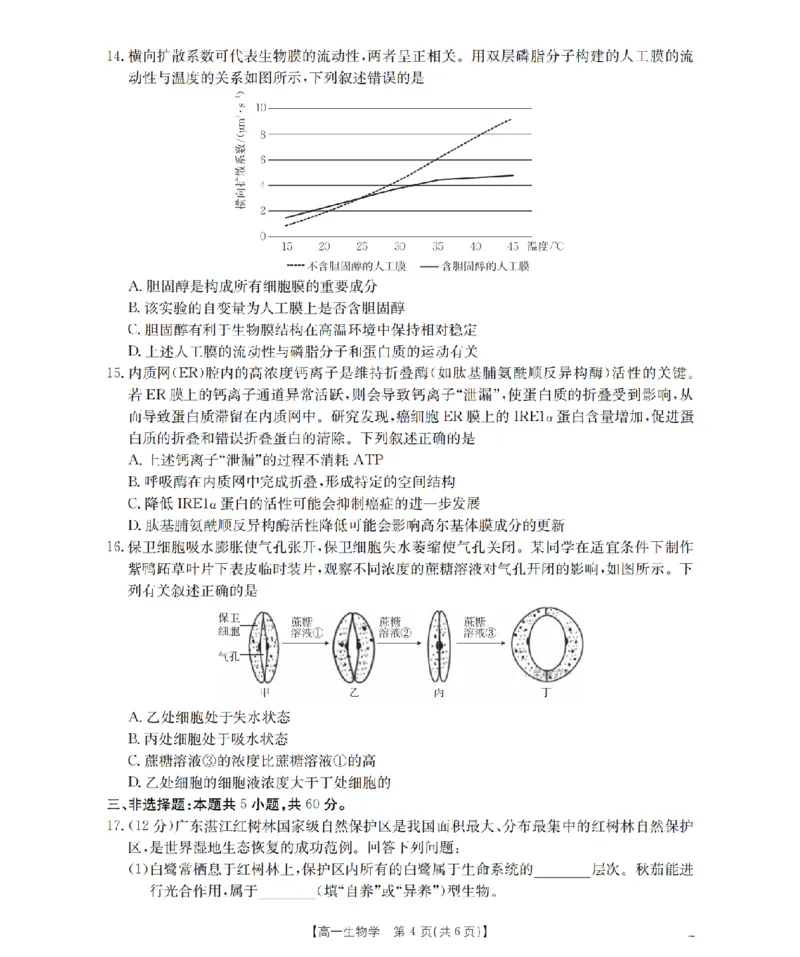 湖南省2025-2026学年高一上学期12月联考（26-201A）生物_2024-2025高一（7-7月题库）_2026年1月高一_260120金太阳&middot;湖南省2025-2026学年高一上学期12月联考（26-201A）（全）