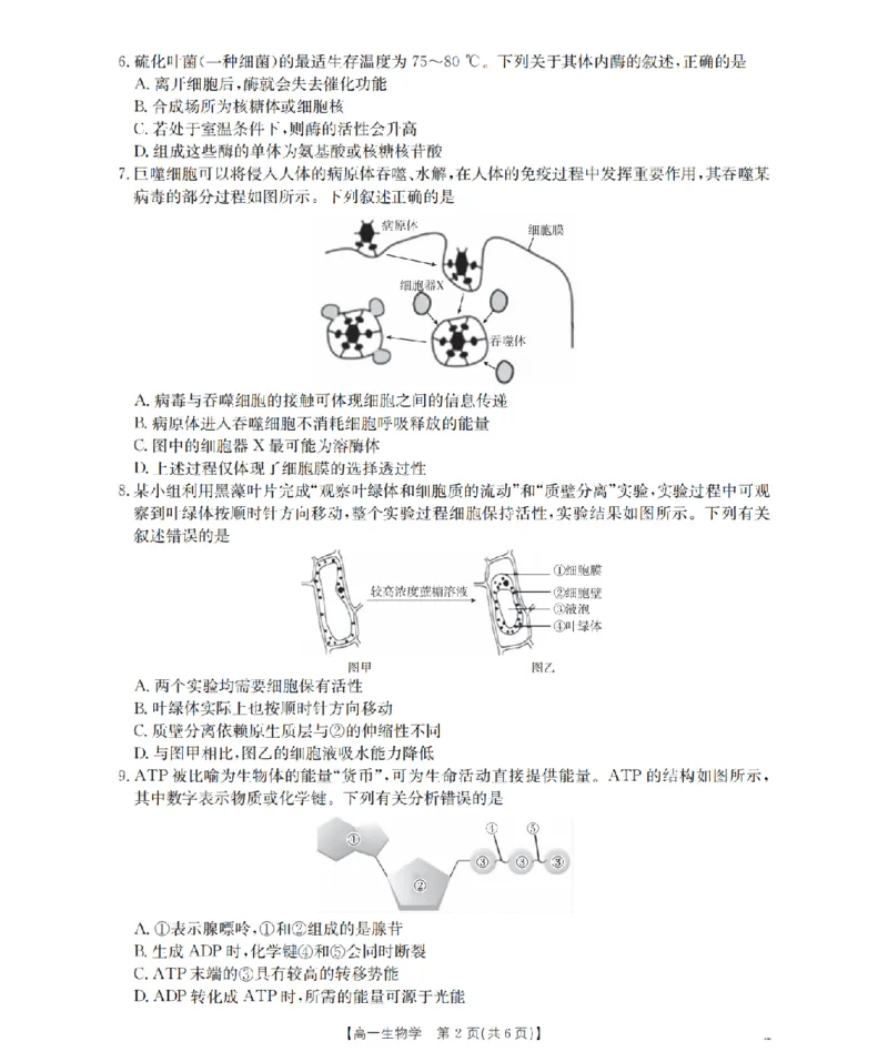 河南省南阳地区2025-2026学年高一上学期12月阶段考试卷（26-176A）生物_2024-2025高一（7-7月题库）_2026年1月高一