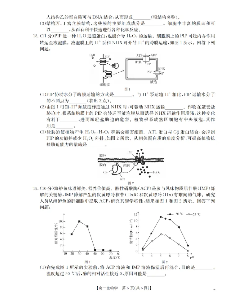 河南省南阳地区2025-2026学年高一上学期12月阶段考试卷（26-176A）生物_2024-2025高一（7-7月题库）_2026年1月高一