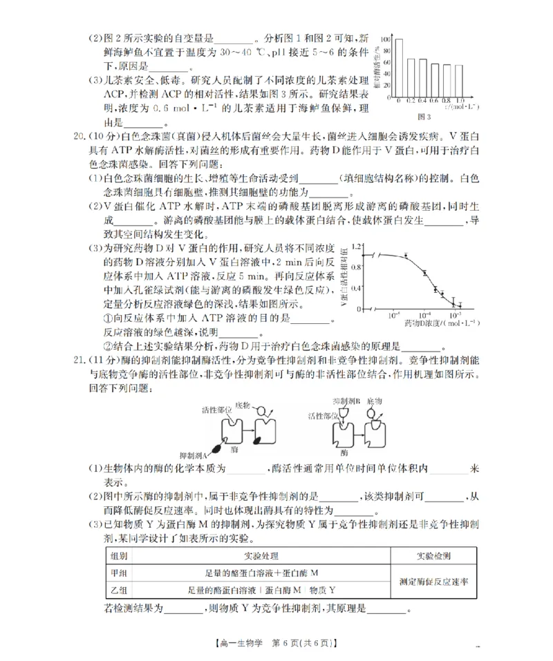 河南省南阳地区2025-2026学年高一上学期12月阶段考试卷（26-176A）生物_2024-2025高一（7-7月题库）_2026年1月高一
