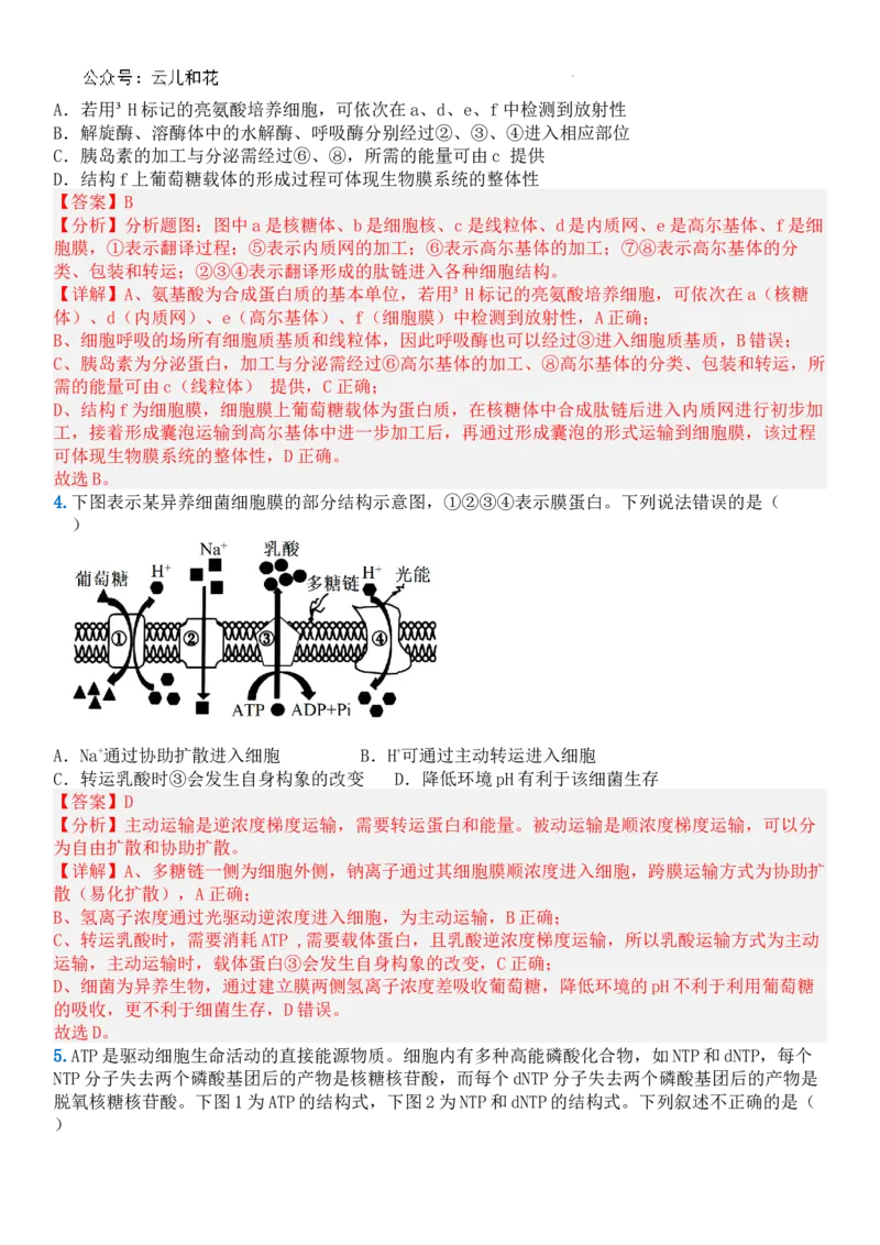 生物答案_2024-2025高一（7-7月题库）_2024年7月试卷_0724内蒙古锡林郭勒盟2023-2024学年高一下学期7月期末