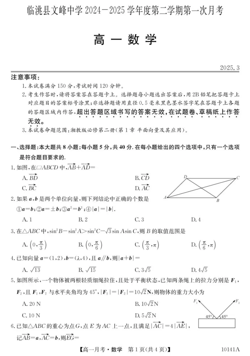 甘肃省定西市临洮县文峰中学2024-2025学年高一下学期第一次月考数学试卷（PDF版，含解析）_2024-2025高一（7-7月题库）_2025年04月试卷