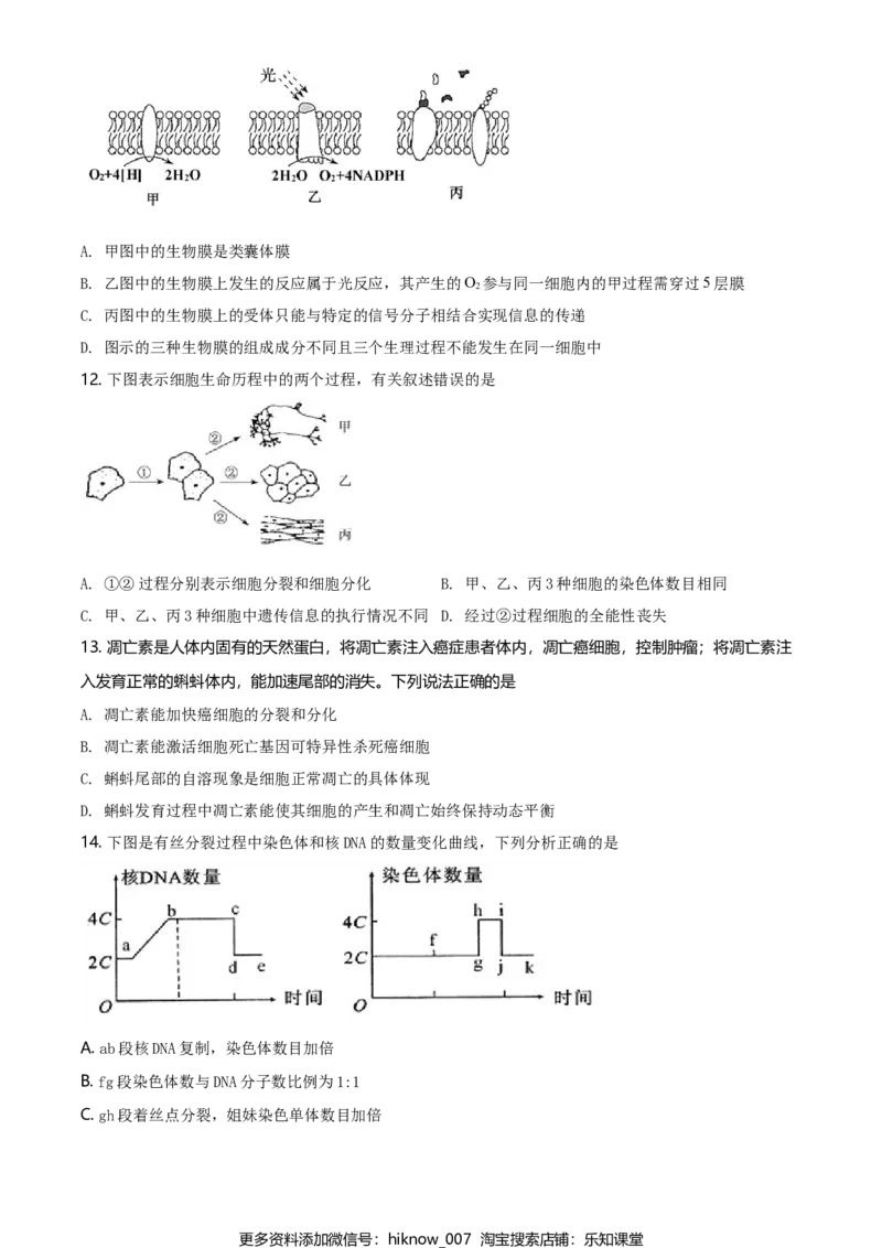 精品解析：江苏省南通市高一上学期期末生物试题（新人教版）（原卷版）_E015高中全科试卷_生物试题_必修1_4.期末试卷_2.各地真题