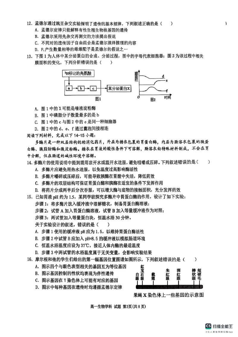 浙江省G5联盟2024-2025学年高一下学期期中考试生物试题（图片版，无答案）_2024-2025高一（7-7月题库）_2025年05月试卷_0506浙江省G5联盟2024-2025学年高一下学期期中考试