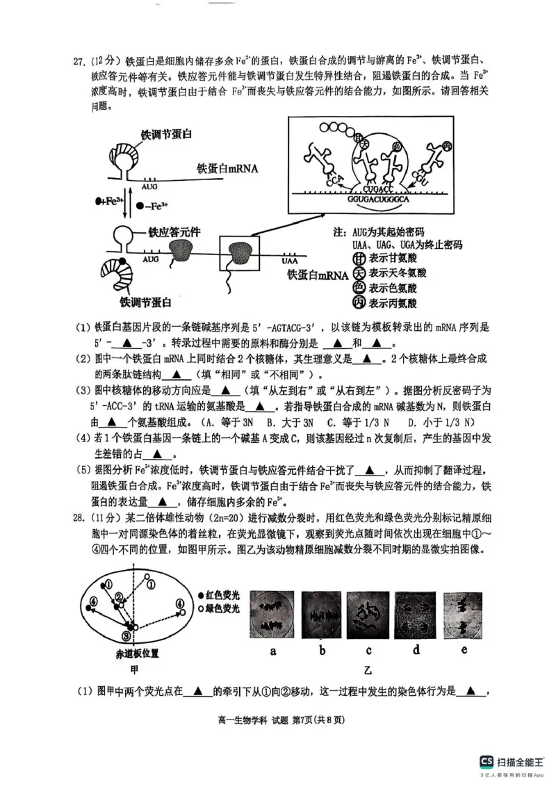 浙江省G5联盟2024-2025学年高一下学期期中考试生物试题（图片版，无答案）_2024-2025高一（7-7月题库）_2025年05月试卷_0506浙江省G5联盟2024-2025学年高一下学期期中考试