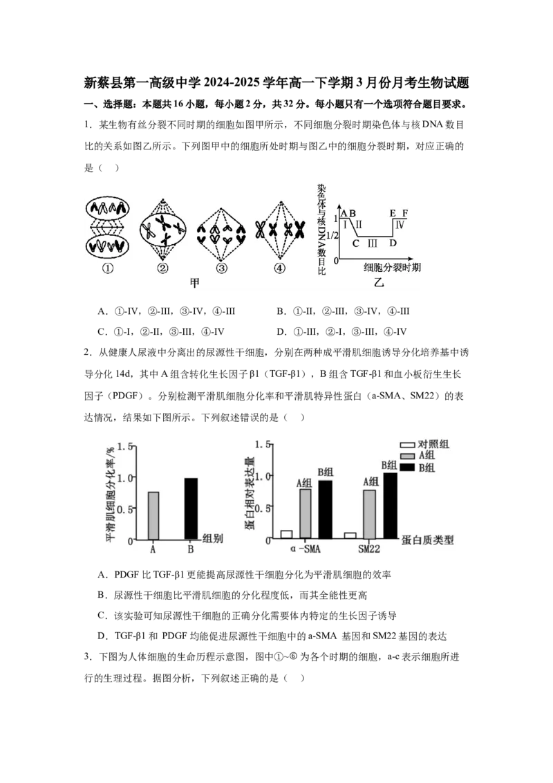 河南省驻马店市新蔡县第一高级中学2024-2025学年高一下学期3月月考生物学试题（含答案）_2024-2025高一（7-7月题库）_2025年03月试卷