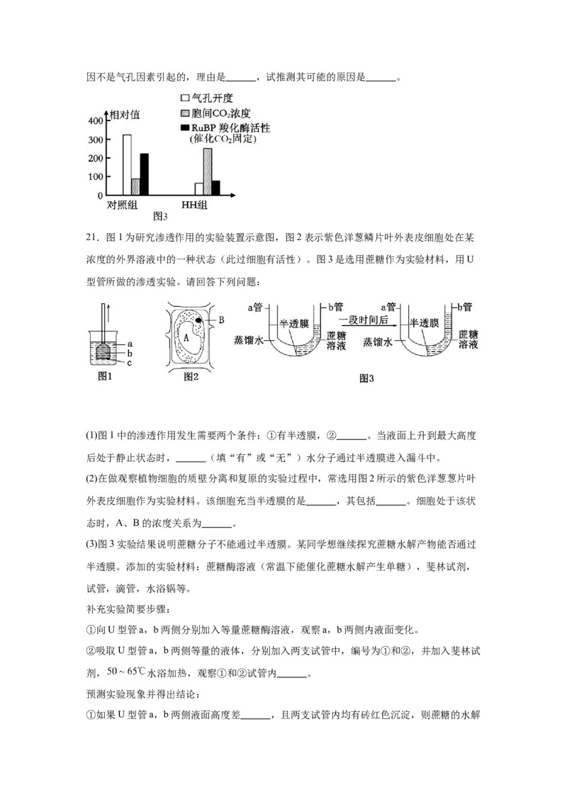 河南省驻马店市新蔡县第一高级中学2024-2025学年高一下学期3月月考生物学试题（含答案）_2024-2025高一（7-7月题库）_2025年03月试卷