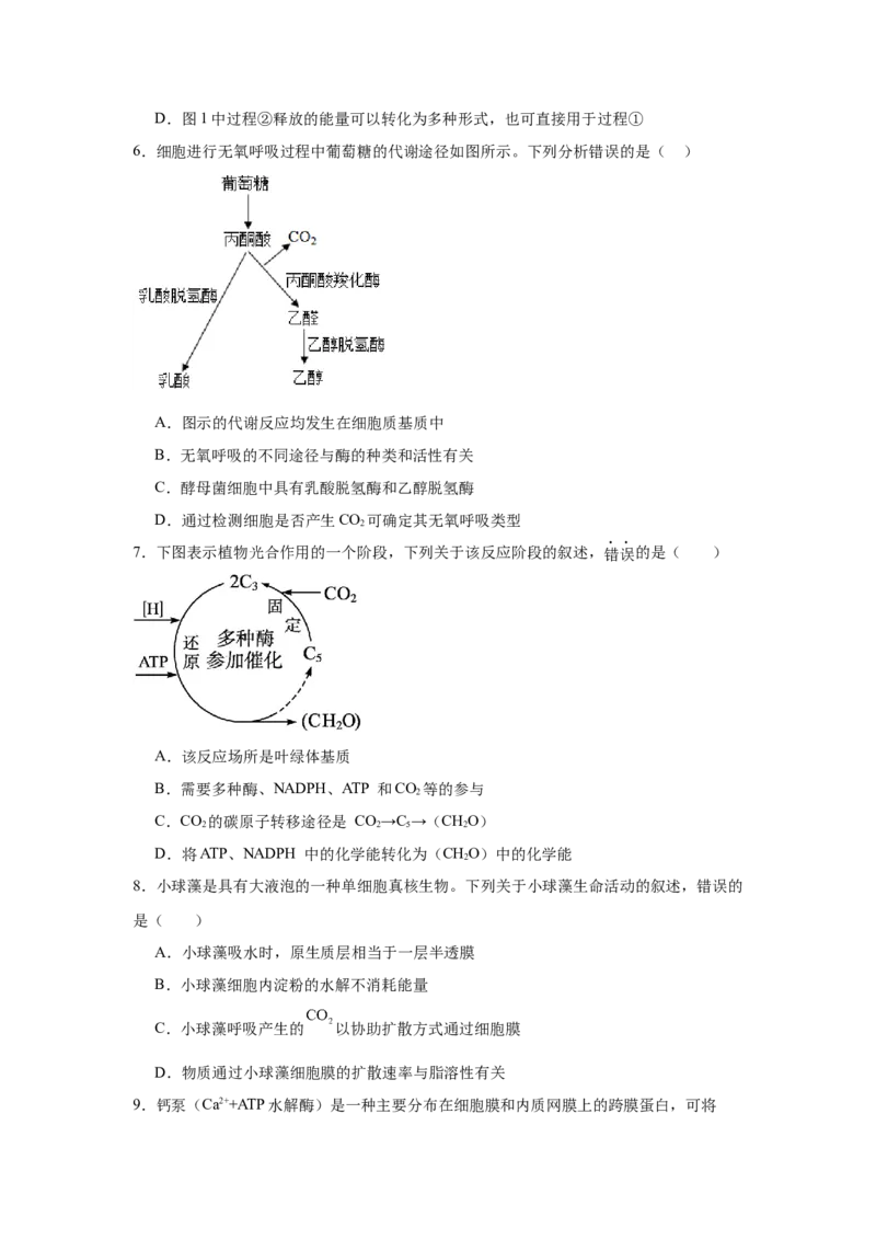 河南省驻马店市新蔡县第一高级中学2024-2025学年高一下学期3月月考生物学试题（含答案）_2024-2025高一（7-7月题库）_2025年03月试卷