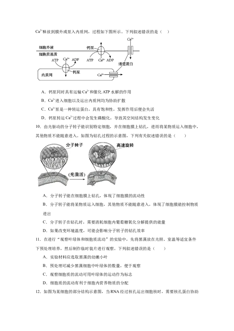 河南省驻马店市新蔡县第一高级中学2024-2025学年高一下学期3月月考生物学试题（含答案）_2024-2025高一（7-7月题库）_2025年03月试卷